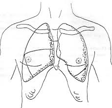 physical assessment