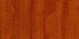 Image result for Khaya