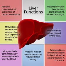 A Chart Shows The Functions Of The Liver Liver Detox
