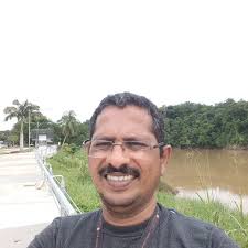 Discussion: Bridging Field Observations and Molecular Mechanisms: The  Pivotal Role of Al-Substituted Ferrihydrite in Dissolved Organic Matter  Dynamics