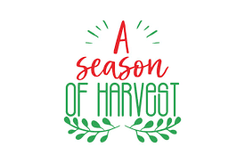 With limit stops at 45° and 90° angles and a scale for free angles between 090°, you will be prepared for anything. 2020 Face Mask Svg