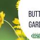 Switch Your Thinking: Butterfly Gardening
