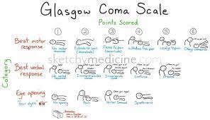 The 3 parts of the glasgow coma scale are charted independently, and the position can be recorded as nt (not testable), with an option of indicating the reason, e.g. Glasgow Coma Scale Gcs Sketchy Medicine
