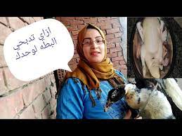 Check spelling or type a new query. Ø§Ù…Ø±Ø§Ø© ØªØ°Ø¨Ø­ Ø§Ù„Ø¨Ø· Mp4 3gp Flv Mp3 Video Indir