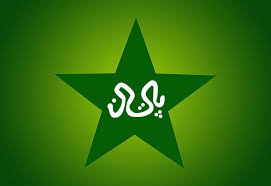 Dolphins kingsmead cricket ground logo india national cricket team, cricket png. Logo And Colours Pakistan S Cricket Team S India Pakistan Online Cricket Fight News Photos Videos Update