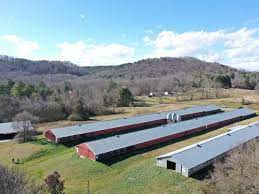 Buy land for sale in polk county, tn including vacant residential properties, commercial building lots, farmland acreage, and rural homes with land for sale. Polk County Tennessee Land For Sale Landflip