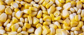 Maybe you would like to learn more about one of these? Mais 12 Proprieta Benefici E Valori Nutrizionali Naturopataonline