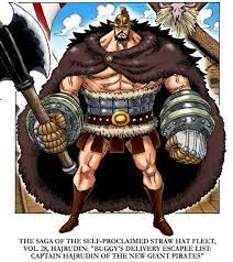 Cover Story of Hajrudin 💪👊 : r/OnePiece