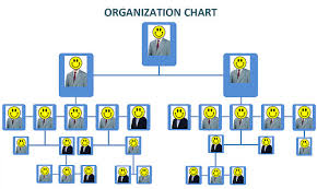 Organizational Theory Project Management Wiki Fandom