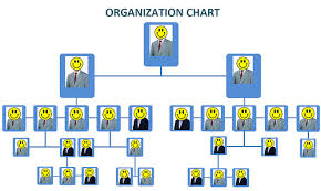 organizational theory project management wiki fandom