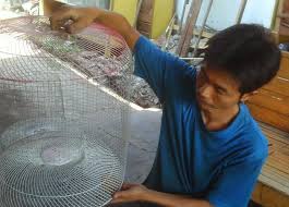 Banyak macam sangkar burung yang kita jumpai dijual di pasar burung. Kreasi Sangkar Burung Unik Dari Tutup Kipas Bekas