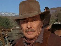 Barry Newman's Life and Career Highlights