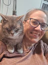 Cats watching cat TV and entertainment videos