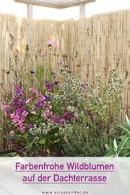 Balkon Und Terrasse Gestalten Upgrade Fur Den Balkon Und Die Terrasse In 2020 Terrasse Gestalten Dachterrasse Gestalten Dachterrasse Pflanzen