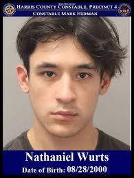 Mark Herman, Harris County Constable Precinct 4