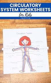 Image result for Cardiovascular Worksheets