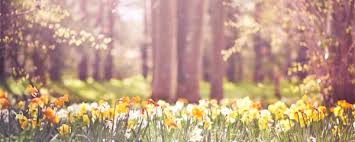 BREAK INTO PRISON" SEASON SPRING - The Sourcing Blog