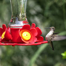 How much sugar to water for hummingbirds. Monitor Levels In Your Hummingbird Feeder Mother Earth News