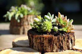 Trees must develop deep roots in order to grow strong and produce their beauty. How To Recycle Tree Stumps For Garden Art And Yard Decorations
