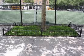 This is how to edge around a tree and mulch around a tree. Standing Guard Around Trees To Increase Stormwater Infiltration Stormwater Report