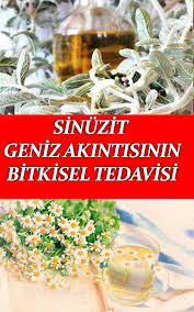 Pin On Dogal Saglik