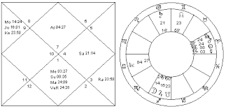 Navamsa Vedic Astrology Palmistry