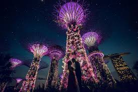 Pre Wedding Photoshoot At Gardens By The Bay In Singapore Wedding Photoshoot Wedding Photos Poses Pre Wedding Photoshoot