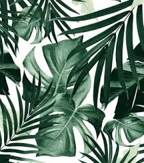 See more ideas about green aesthetic, dark green aesthetic, green photo. Aesthetic Green Images On Favim Com