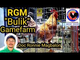 About press copyright contact us creators advertise developers terms privacy policy & safety how youtube works test new features press copyright contact us creators. Fiestag 2019 Mayor Nene Aguilar By Sabong Jie