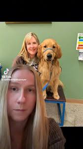 Not that you needed evidence that Representative Melissa Hortman & her  husband Mark were good humans, but you should know that their family  volunteered with Helping Paws Assistance Dogs training ...
