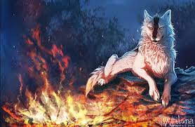 Blotch, also known as screwbald, was the alias of the collaborative works between the artists kenket and blackteagan, one. Hd Wallpaper Animals Anthro Furry Wolf Wallpaper Flare
