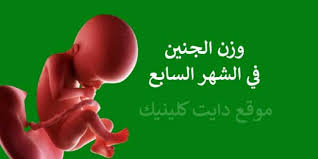 وزن الجنين في الشهر السابع من الحمل ونشاطه الطبيعي دايت كلينيك Uji Advice Movie Posters