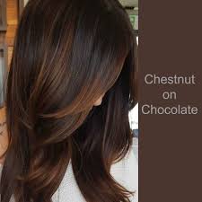 Chestnut On Chocolate Hair Brunette Hair Color Chestnut Hair Color Chestnut Hair