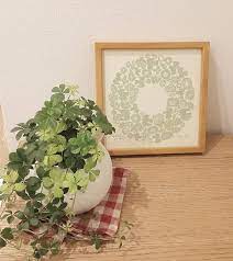 玄関に人気の観葉植物まとめ おしゃれで育てやすいおすすめのグリーンを飾ろう folk 観葉植物 グリーン パキラ