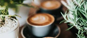 Maybe you would like to learn more about one of these? Flavor Boldness History A Guide To Brazil Santos Coffee Capitol City Coffee