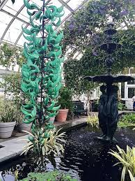 Orchidelirium 2016 Orchid Show At The New York Botanical Garden Quintessence Orchid Show Orchids Botanical Gardens