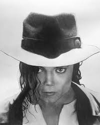 Pencil Botanical Art Drawings for sale