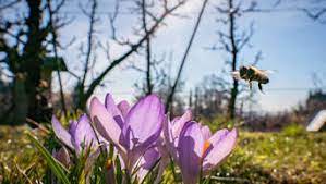 Wann ist eigentlich frühling bzw. Warum Das Wetter In Deutschland Im Fruhling So Launisch Ist Wetter