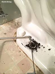 How To Remove A Toilet Yourself Stop Paying For Plumbers Window Cleaning Tips Cleaning Hacks Cleaning