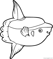 533x664 team sunfish andy social's weblog. Smiling Sunfish Coloring Page Coloringall