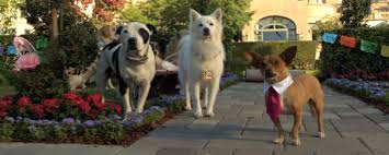 Emily osment, ernie hudson, frances fisher and others. Beverly Hills Chihuahua 3 Viva La Fiesta 2012 Movie Behind The Voice Actors