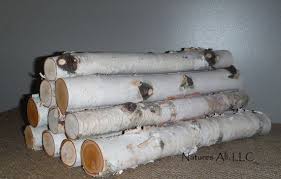 Decorative White Birch Logs For Fireplace Pin On Design For The Home