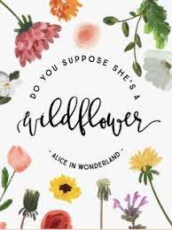They are sunshine, food and medicine to the mind. 170 Best Wildflower Quotes Ideas Quotes Flower Quotes Words