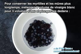 Pin On Conserver Les Aliments Plus Longtemps
