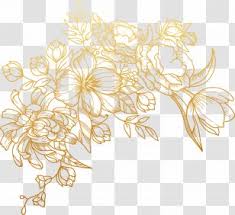 We did not find results for: Rose Gold Flowers Png Images Transparent Rose Gold Flowers Images