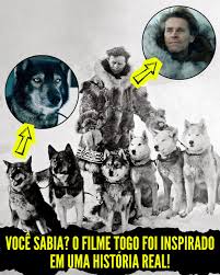 🐺❄️ Você Sabia? O Filme Togo Foi Inspirado em uma História Real! ❄️🐺 No filme Togo, da Netflix, Willem Dafoe interpreta o musher Leonhard Seppala, mas a história emocionante vai muito além