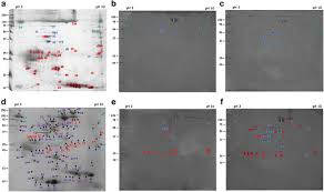 Pt gobras tsik mlaya / pt g. Immune Recognition Of Salivary Proteins From The Cattle Tick Rhipicephalus Microplus Differs According To The Genotype Of The Bovine Host Springerlink