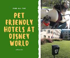 Pet Friendly Hotels At Walt Disney World Resort Allears Net Disney World Packages Disney World Hotels Pet Friendly Hotels