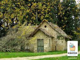 We did not find results for: Basilika Kthmata Tatoioy Kibwtos Events