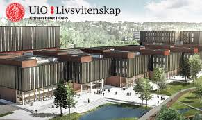 Omlegging av energi fra elektrisitet til andre fornybare kilder basert på vannbåren varme vil være en sentral del av arbeidsgruppens ansvar. Livsvitenskapsbygget Ma Finansieres Na Universitetet I Oslo